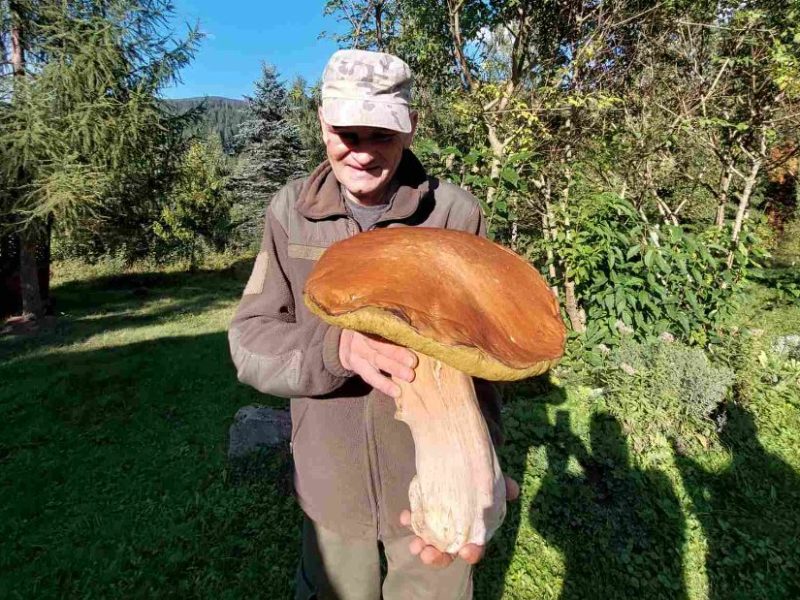 В Карпатах знайшли гриб вагою 3 кг (ФОТО)
