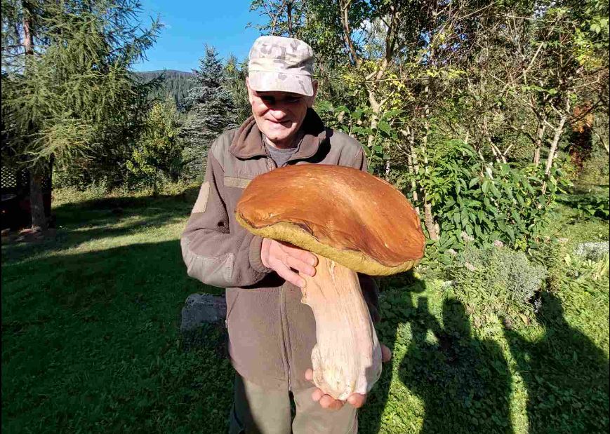 В Карпатах знайшли гриб вагою 3 кг (ФОТО) 7