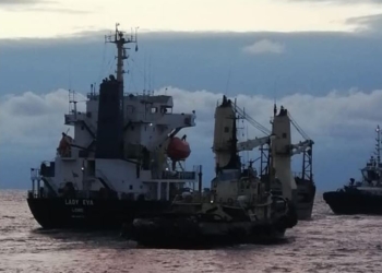 Сьогодні зерновим коридором вийшов найбільший караван з українським збіжжям (ФОТО)