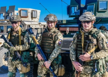 Морські коники, дракони та бобри. Що означають шеврони українських військових (ФОТО)