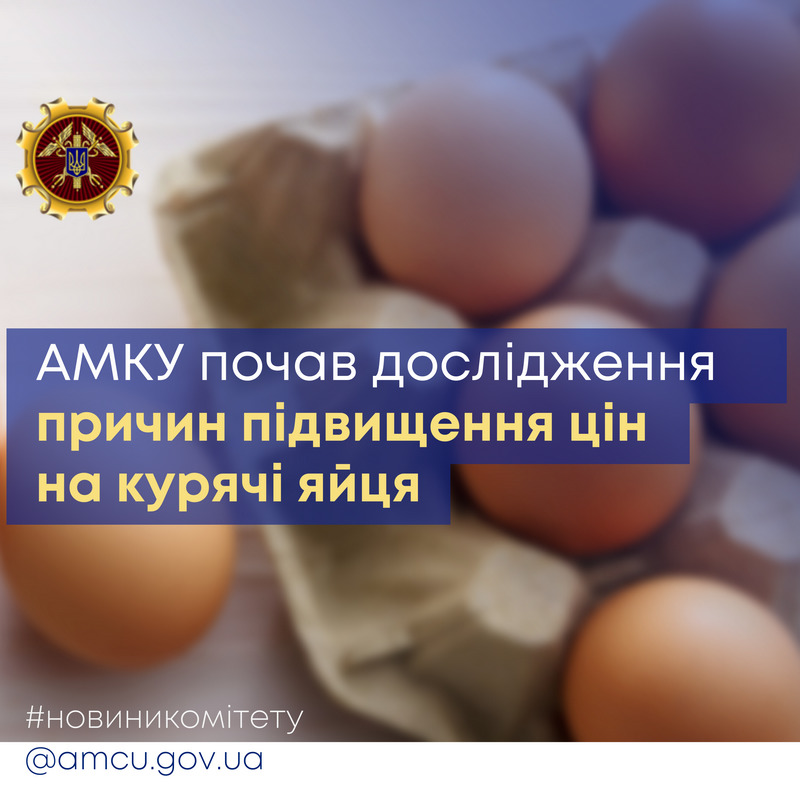 АМКУ почав дослідження причин підвищення цін на курячі яйця 1