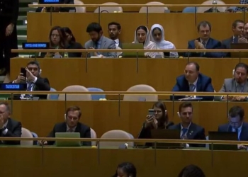 Генасамблея ООН засудила незаконну анексію Росією території чотирьох областей України (ВІДЕО)