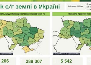 Найактивніше ринок землі в Україні працює на Хмельниччині