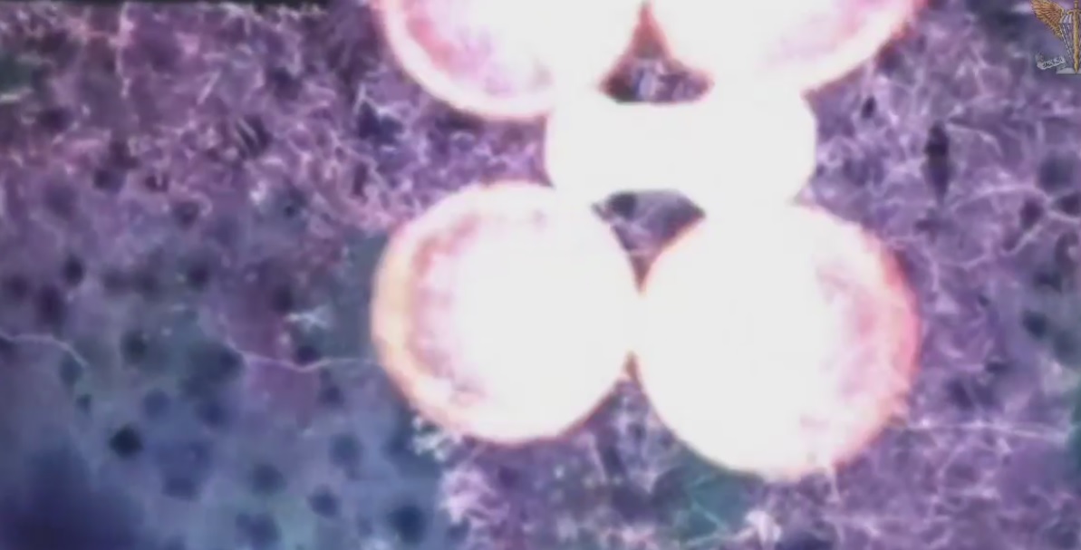 Дрон миколаївських десантників здобув чергову перемогу над коптером противника (ВІДЕО)