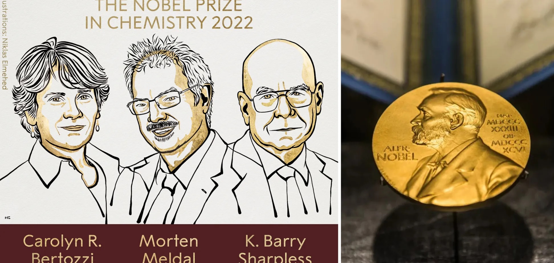 Нобелівську премію з хімії за 2022 рік присудили за розробку клік-хімії та біоортогональної хімії, які, зокрема, допомагають лікувати рак