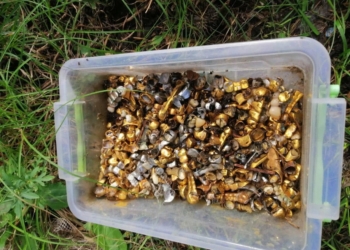 Звідти постійно чули крики.  Слідчі знайшли жахливу катівню на Харківщині і коробку з вирваними зубами (ФОТО, ВІДЕО)