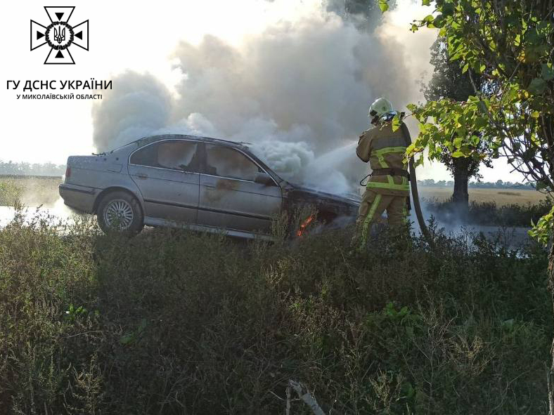 На Миколаївщині за минулу добу було 7 «мирних» пожеж (ФОТО, ВІДЕО) 7
