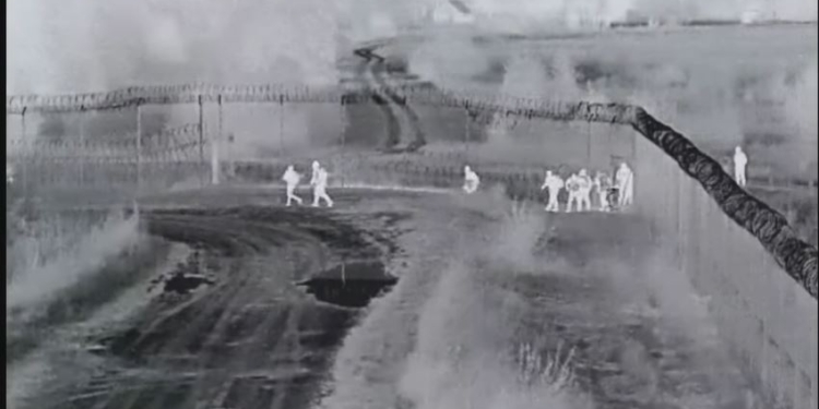 Білоруські прикордонники прорізали стіну з колючим дротом на кордоні з Литвою і запустили мігрантів (ВІДЕО)