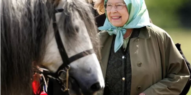 Король Карл III розпродає скакових коней Єлизавета II (ФОТО)