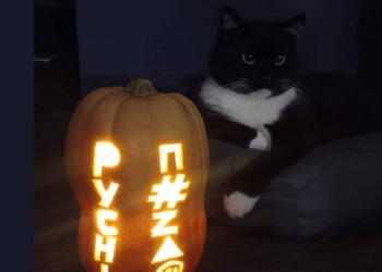 Хіба хочеш? Мусиш – як українці жартують з приводу Геловіну в темряві після ракетних атак (ФОТО)