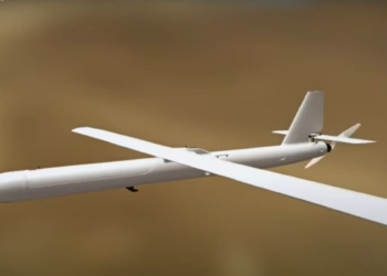 Що це за дрон RAM II UAV, на який збирають Притула та Стерненко?