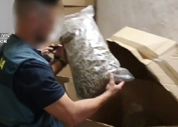 В Іспанії виявили найбільшу в історії партію канабісу – 32 тонни на 64 млн.євро (ВІДЕО)  