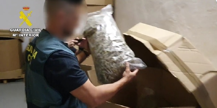 В Іспанії виявили найбільшу в історії партію канабісу – 32 тонни на 64 млн.євро (ВІДЕО)  