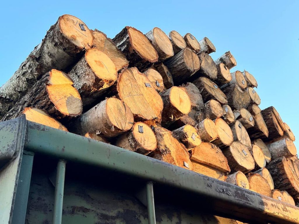 Перші вагони безкоштовної паливної деревини вже доставлено на Миколаївщину 1
