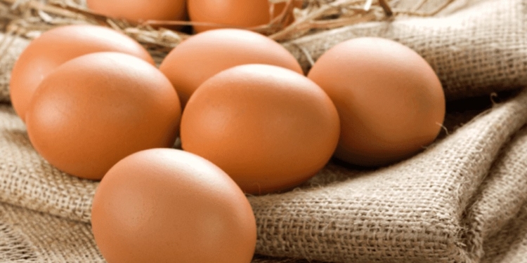 Щоб стабілізувати ціни на курячі яйця: Мінагропрод та Союз птахівників України підписали меморандум