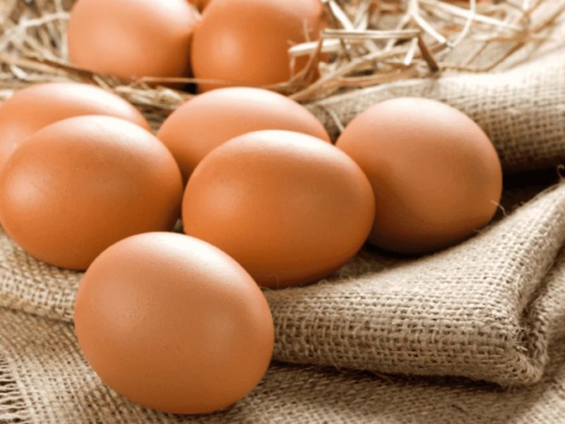 Щоб стабілізувати ціни на курячі яйця: Мінагропрод та Союз птахівників України підписали меморандум