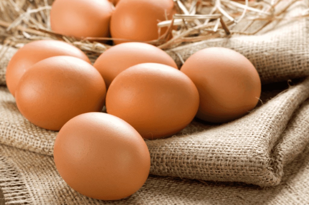 Щоб стабілізувати ціни на курячі яйця: Мінагропрод та Союз птахівників України підписали меморандум 1