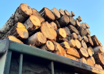 У перші громади Миколаївщини доставлено паливну деревину. Які громади можуть отримати (ФОТО, ПЕРЕЛІК)