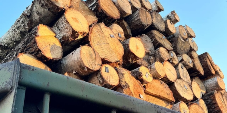 У перші громади Миколаївщини доставлено паливну деревину. Які громади можуть отримати (ФОТО, ПЕРЕЛІК)