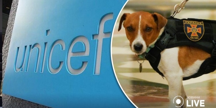 Пес Патрон отримав титул UNICEF “Пес доброї волі”