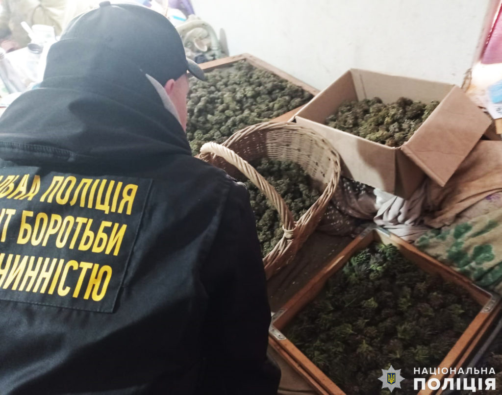 В Миколаєві поліцейські викрили наркоугруповання, яке налагодило збут канабісу (ФОТО, ВІДЕО) 4