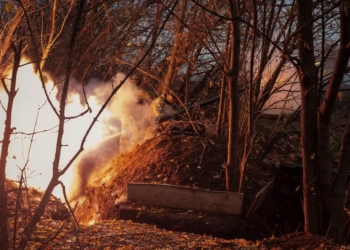Вже 77 тисяч ліквідованих окупантів. Повні втрати ворога