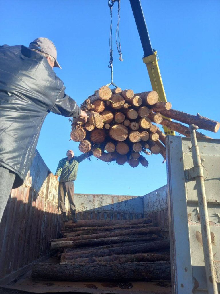 У перші громади Миколаївщини доставлено паливну деревину. Які громади можуть отримати (ФОТО, ПЕРЕЛІК) 6