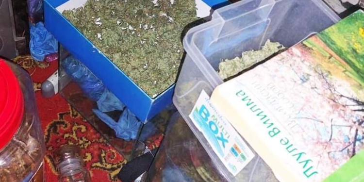 І мак, і канабіс, і граната: що вилучили у мешканця Вознесенського району поліцейські Миколаївщини (ФОТО)