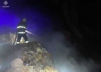 Салон краси, літня кухня, котельня і сміттєзвалище: що рятувальники Миколаївщини гасили за добу (ФОТО)