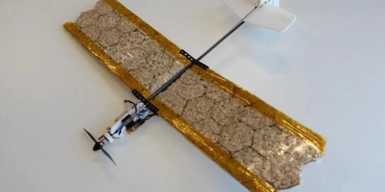 На добро. В Швейцарії створили їстівний дрон – він допоможе тим, хто в біді (ВІДЕО)