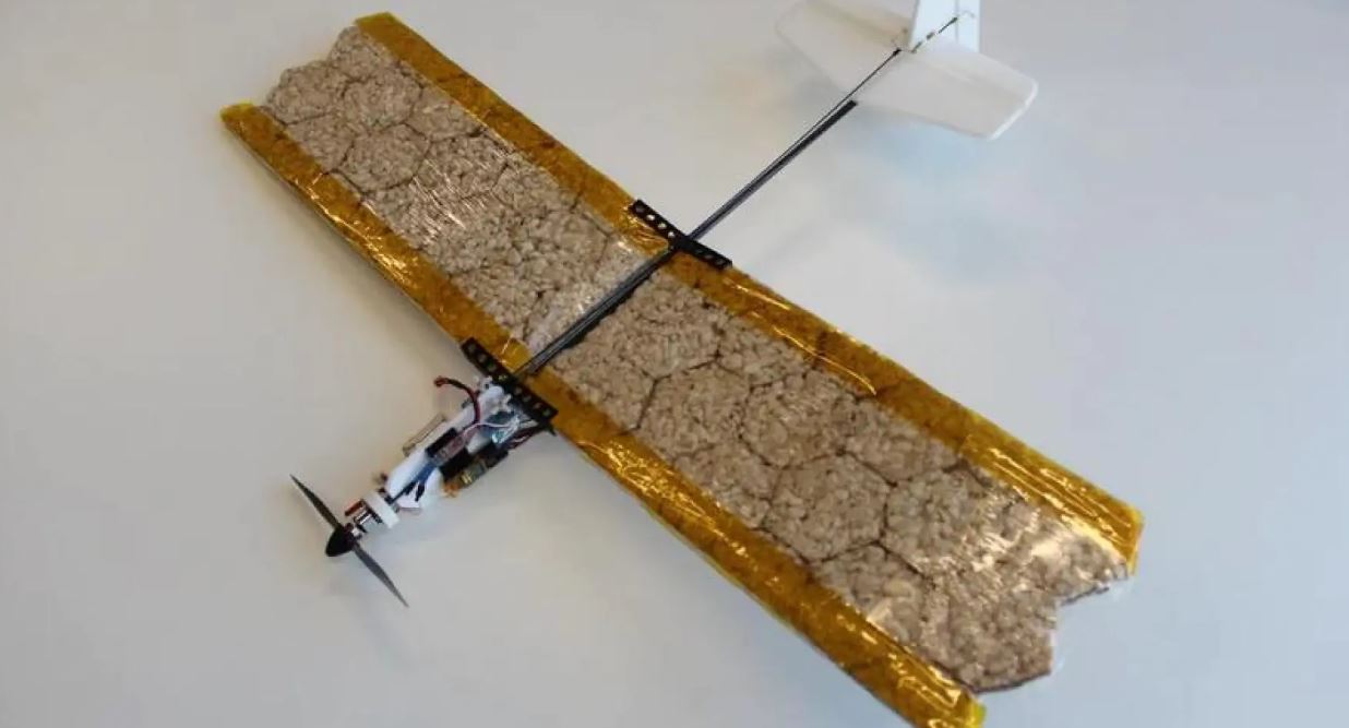 На добро. В Швейцарії створили їстівний дрон – він допоможе тим, хто в біді (ВІДЕО)