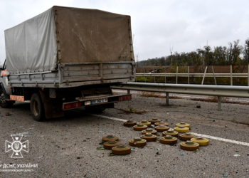 За добу на Миколаївщині рятувальники ліквідували 4 «мирних» пожежі і вилучили 236 російських боєприпасів (ФОТО)