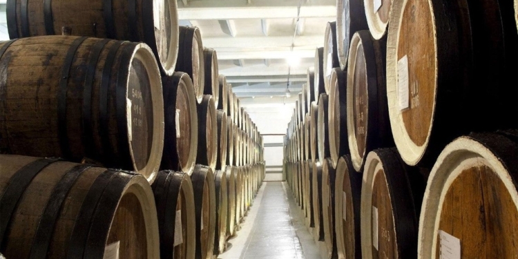 Рашисти в Новій Каховці грабують коньячний завод “Таврія” – вивозять обладнання та колекційні спирти