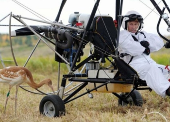 Путіну запропонували план “збереження обличчя” для виходу з війни