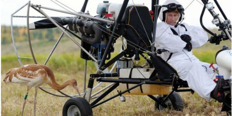 Путіну запропонували план “збереження обличчя” для виходу з війни