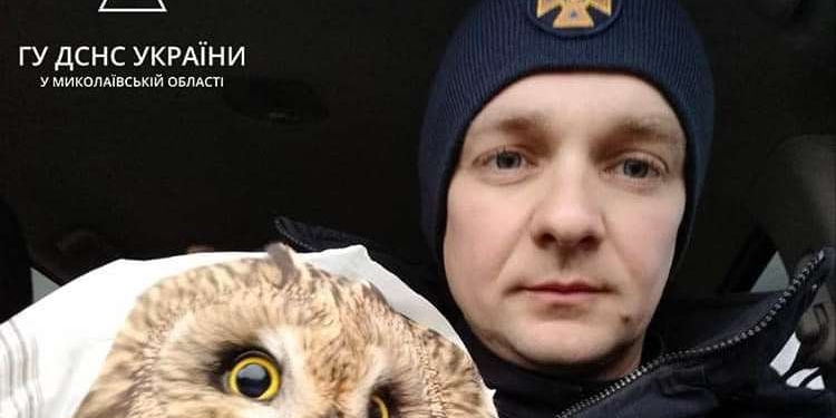 Розміновуючи Миколаївщину, піротехніки ДСНС знайшли поранену сову. Піротехнік став опікуном птаха (ФОТО)