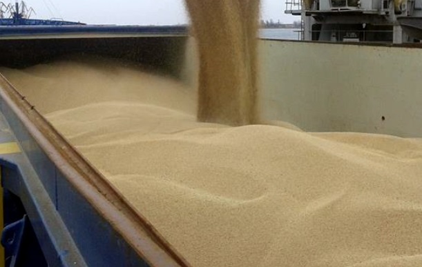 Без хімії. На Одеському припортовому заводі вантажать зерно на експорт (ФОТО) 1
