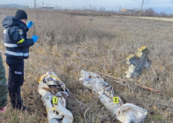 Двоє були розстріляні, на тілі третьої людини – сліди катувань: в поліції Миколаївщини зафіксували злочини російських окупантів в селі Новопетрівка (ФОТО)