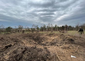 На звільнених територіях Миколаївщини розміновано 47 га