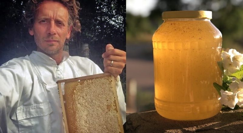 У Миколаївській області бджоляр відновив зруйновану загарбниками пасіку та налагодив експорт меду до Нідерландів