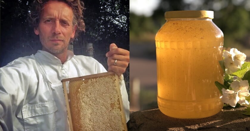 У Миколаївській області бджоляр відновив зруйновану загарбниками пасіку та налагодив експорт меду до Нідерландів 1