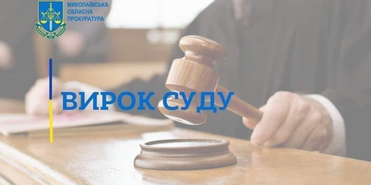 150 годин громадських робіт: на Миколаївщині засуджено чоловіка за домашнє насильство над своєю матір’ю