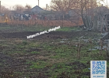 Росіяни знов обстріляли Очаківську громаду на Миколаївщині – поцілили по вуликам з бджолами (ФОТО)