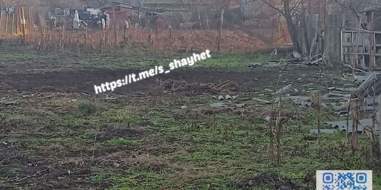 Росіяни знов обстріляли Очаківську громаду на Миколаївщині – поцілили по вуликам з бджолами (ФОТО)