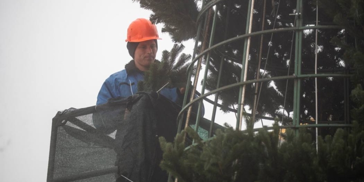 В Києві встановлюють головну ялинку країни – гірлянди будуть працювати від генератора (ФОТО)