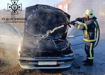 Три пожежі в Миколаєві і одна в області – що гасили рятувальники за минулу добу (ФОТО)