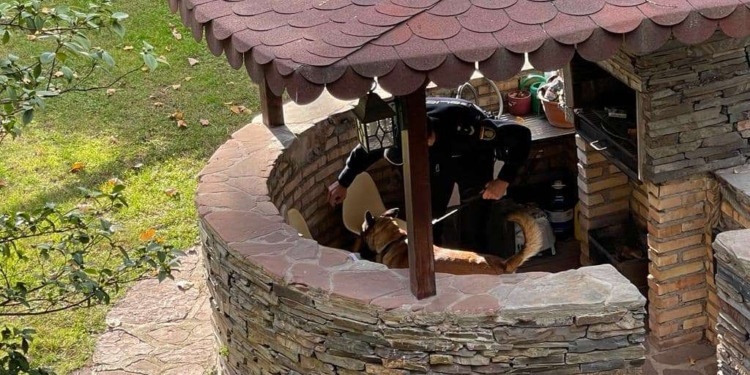 Закривавлений конверт з очима тварин надійшов в українське посольство в Іспанії, куди раніше прислали вибухівку (ФОТО)