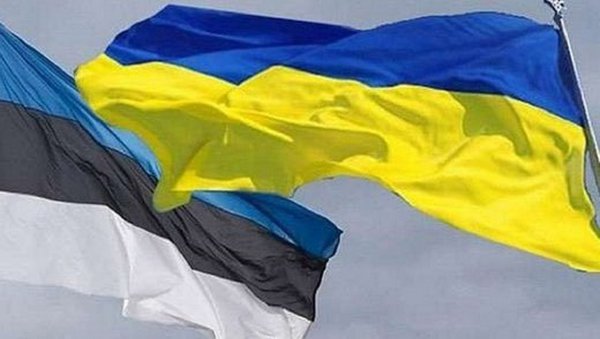 Безпілотники, ЗІЗ та зимова форма: Естонія надасть Україні черговий пакет допомоги