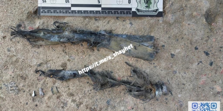 В Миколаєві поранена жінка внаслідок детонації російського касетного снаряду (ФОТО)