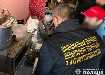 У Вознесенську поліцейські викрили жінку на незаконному зберіганні наркотичних речовин, зброї та гранати (ФОТО)